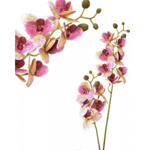 Umělá orchidej 58,5 cm, krémová s fialovým žilkováním