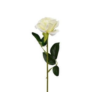 Růže bílá balení 5 ks, 50 cm