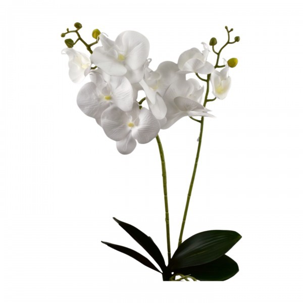 Umělá orchidej 55 cm, bílá