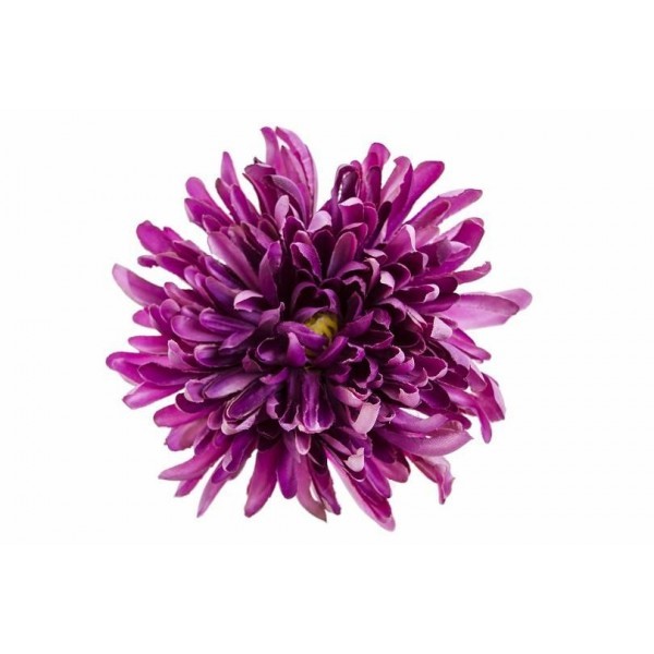 Vazbová chryzantéma 13 cm, fialová